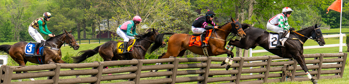 Virginia Gold Cup 2025